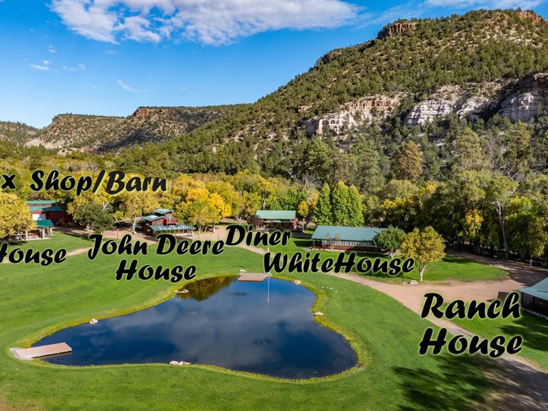 Hines Ranch Retreat : Apache Creek : Catron County : New Mexico