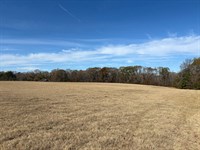 Yellow Creek Timber Farm West : Forsyth : Monroe County : Georgia
