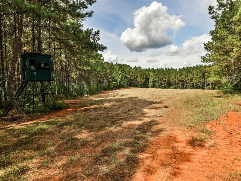 Yellow Creek Timber Farm West : Forsyth : Monroe County : Georgia