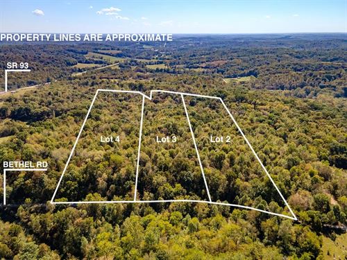 Bethel Rd Parcel 3, 10 Acres : New Plymouth : Vinton County : Ohio
