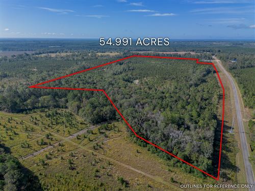 Tract 7 54.991 Acres : Jacksonville : Telfair County : Georgia