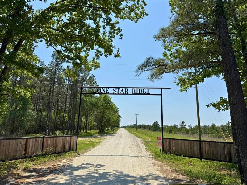 10 Acres, Leon Lane : Lovelady : Houston County : Texas