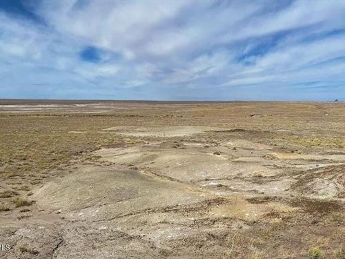 Breathtaking Arizona 40.08 Acres : Holbrook : Navajo County : Arizona