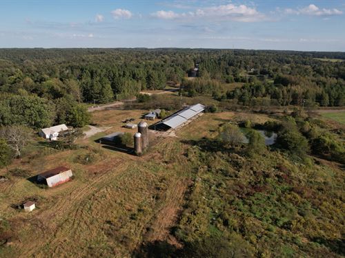 Langtown 45 : Moulton : Lawrence County : Alabama