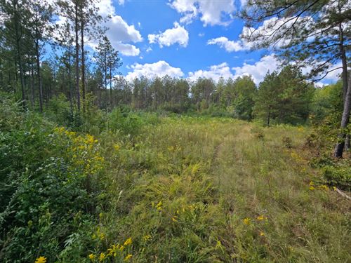 Estes Gravel Pit Tract : Piedmont : Calhoun County : Alabama