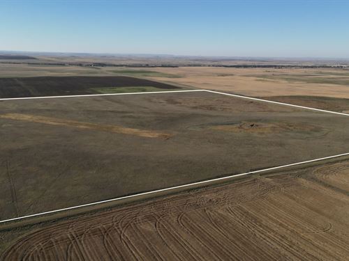 Adams County Pheasant Quarter : Reeder : Adams County : North Dakota