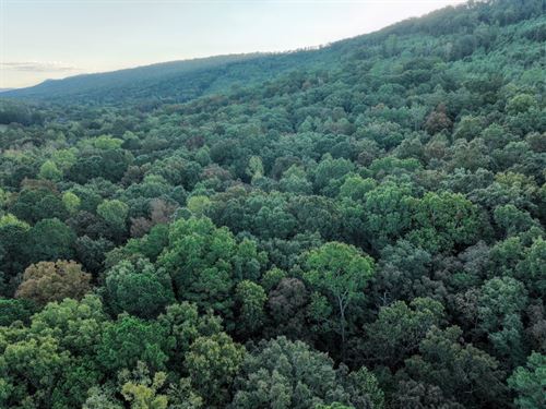 Sumatanga Bottoms 77 Acres St : Steele : Saint Clair County : Alabama