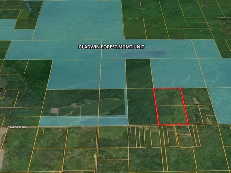 80 Acres / Arenac County / Rec : Turner : Arenac County : Michigan