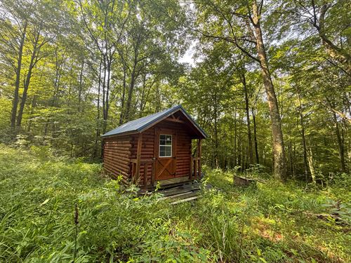 Perfect for Getaway and Hunting : Shawnee : Perry County : Ohio