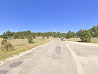 10 Acres, Horse Friendly, Wooded : Peyton : El Paso County : Colorado