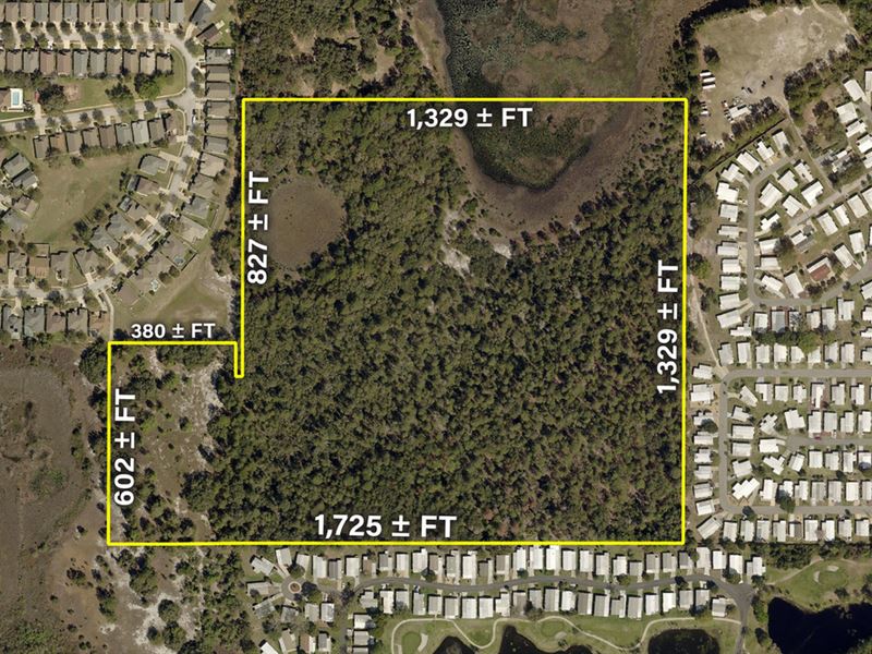 North Lake County Residential Land : Leesburg : Lake County : Florida