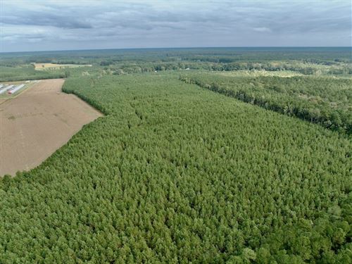 54.42 Acres of Re : Gates : North Carolina