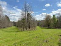 Pine Ridge : Lexington : Oglethorpe County : Georgia