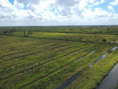 Sterling of Vero Beach, South : Vero Beach : Indian River County : Florida