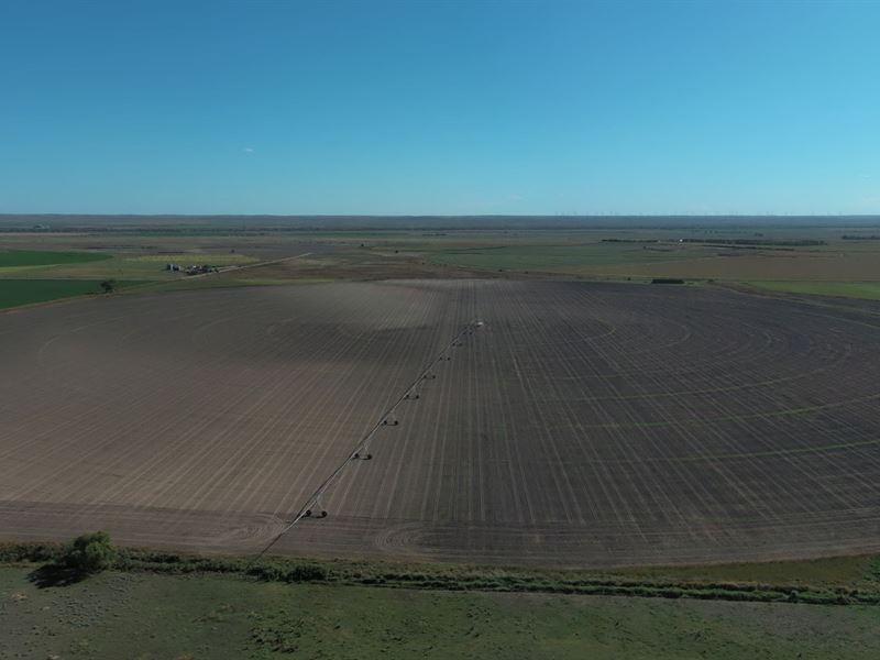 Helmsing Estate Pivot Irrigated : Crook : Logan County : Colorado
