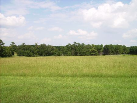 Home with Pasture and Pond : Vienna : Dooly County : Georgia