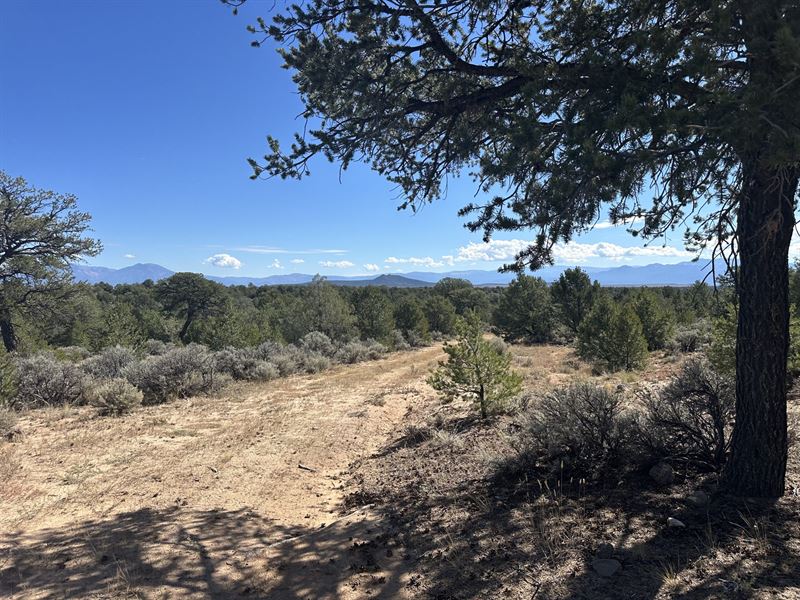 Taos Connection : Ojo Caliente : Taos County : New Mexico