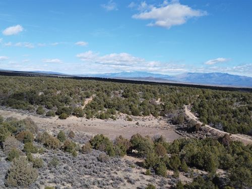 Taos Connection : Ojo Caliente : Taos County : New Mexico