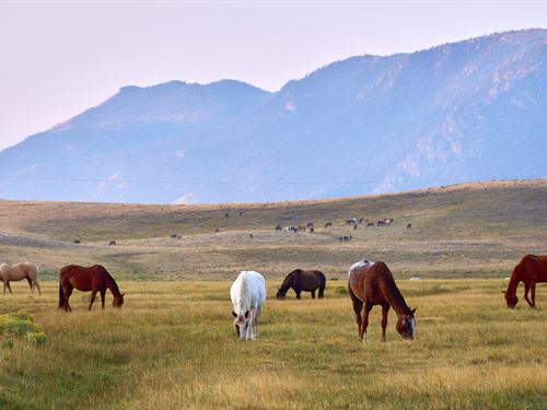 Sheep Mountain Ranch, Tract 7 : Laramie : Albany County : Wyoming