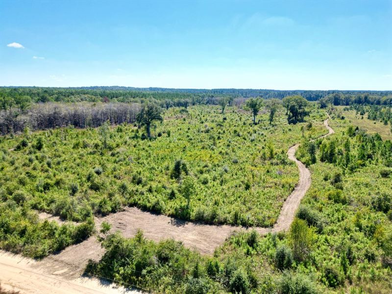 70 Acres Cal Thomas : Whigham : Grady County : Georgia