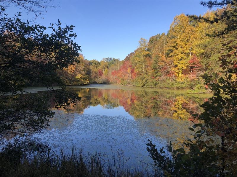 22.94 Acres with Stocked Pond : Crossville : Cumberland County : Tennessee