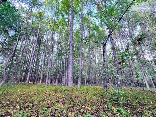 12.23 Acres of VA : Middlesex : Nash County : North Carolina