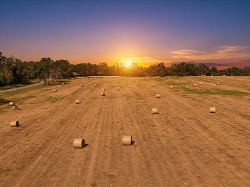 126.45 Acres of Rolling North Flori : Madison : Florida
