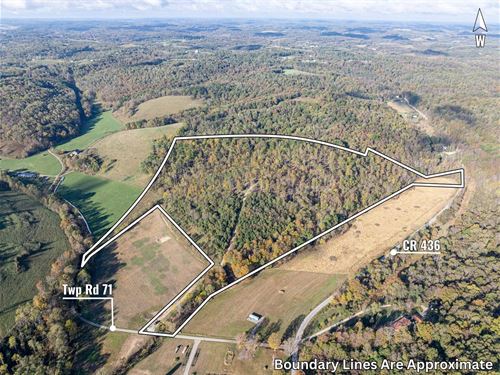 Twp Rd 71, 41 Acres : Dresden : Coshocton County : Ohio