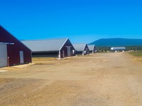 Arkansas Poultry Farms : Mansfield : Sebastian County : Arkansas