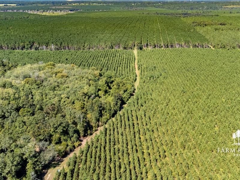 2,166 Ac Mega-Site Industrial Zonin : Campbellton : Jackson County : Florida