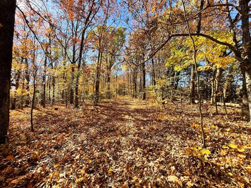 Woods Rd Getaway : Winslow : Washington County : Arkansas