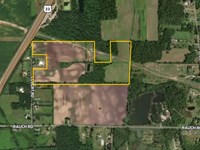 84 Acres, Farm Ground & Recreatio : Petersburg : Monroe County : Michigan