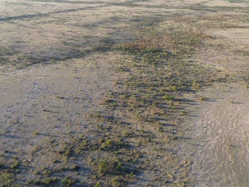 Outstanding 10.001-Acre Sierra : Sierra Blanca : Hudspeth County : Texas