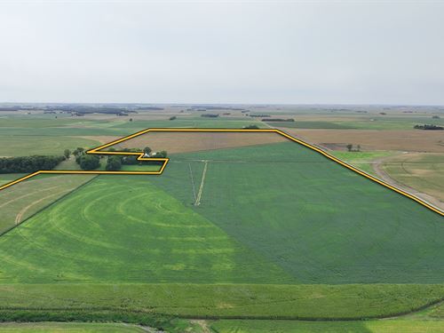 Tazewell Co., IL Farmland Auction : Manito : Tazewell County : Illinois