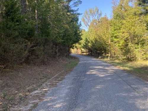 Land for Sale in McNairy County TN : Adamsville : McNairy County : Tennessee