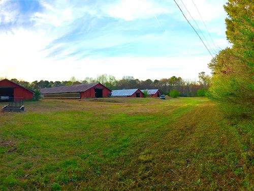 House with Pond and Chicken Houses : Griffin : Spalding County : Georgia
