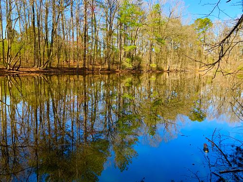 House with Pond and Chicken Houses : Griffin : Spalding County : Georgia