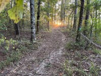 Simpson Road Camden Madisonco : Pickens : Madison County : Mississippi