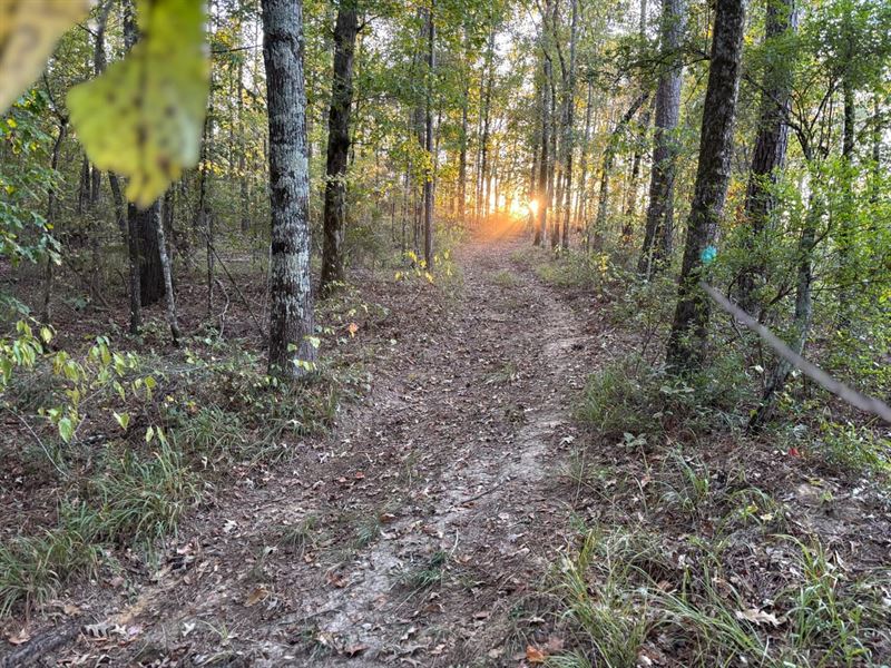 Simpson Road Camden Madisonco : Pickens : Madison County : Mississippi