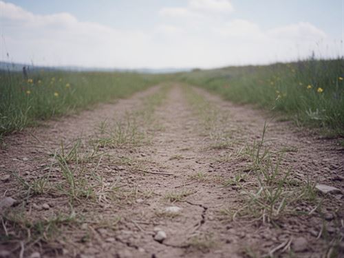 20 Acres in Carbon County, MT : Bridger : Carbon County : Montana