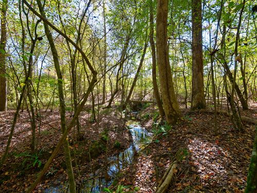 Bridges Road Tract 1 : Carlton : Oglethorpe County : Georgia