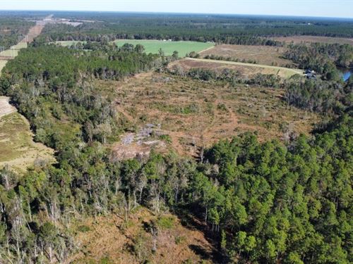 Bird Flanders Road : Swainsboro : Emanuel County : Georgia