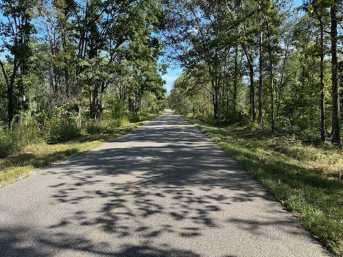 Firetower Road East : Camden : Benton County : Tennessee