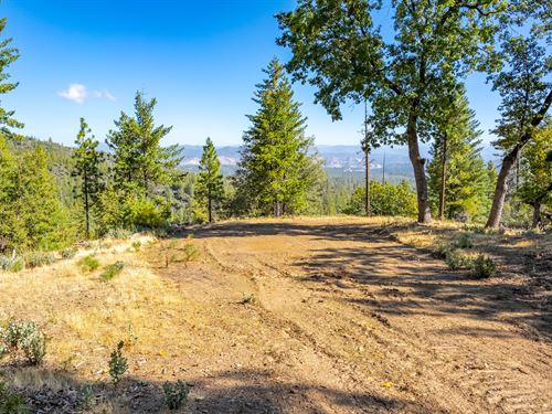 Greeley Hill Forest Vista : Coulterville : Tuolumne County : California
