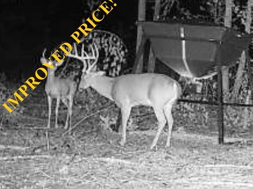 92 Acres Lonoke County Hunting : Lonoke : Arkansas