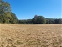 Tussahaw Creek Farm : Locust Grove : Henry County : Georgia