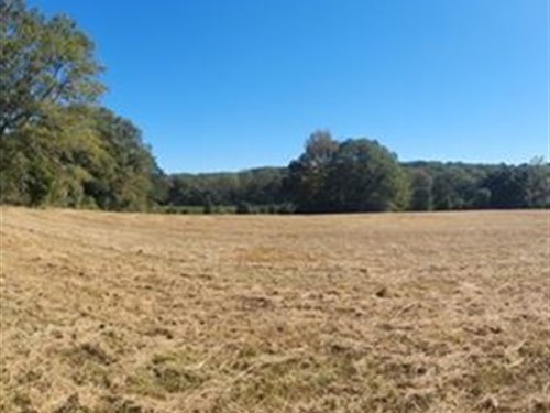 Tussahaw Creek Farm : Locust Grove : Henry County : Georgia