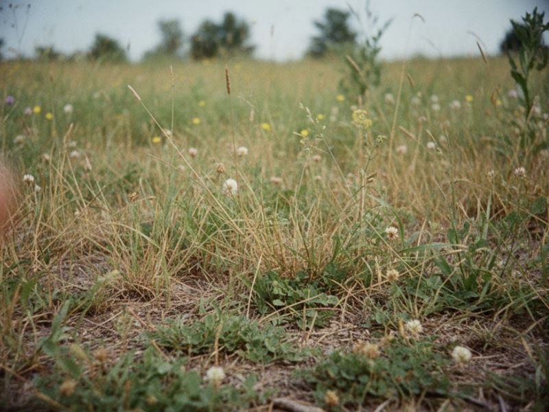 30.85 Acres in Tulsa County, OK : Sperry : Tulsa County : Oklahoma