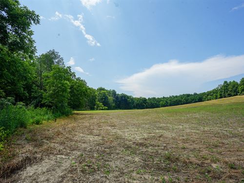 Twp Rd 51 Lot 10 29.695 : Somerset : Perry County : Ohio