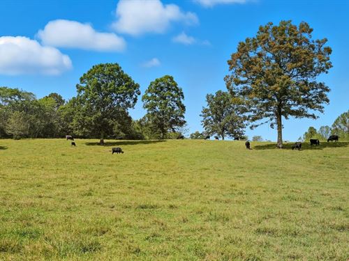 170 Acres, Diverse Farm & Develo : Sparta : White County : Tennessee